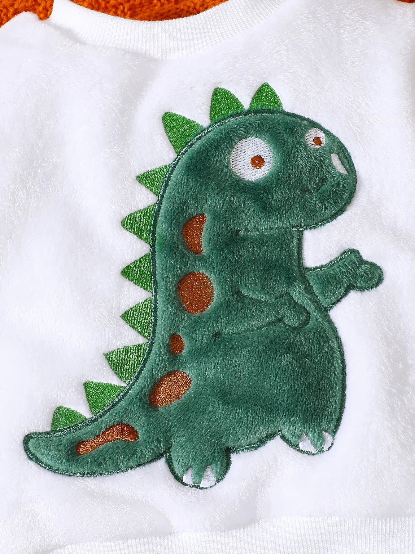 Baby Boy Dinosaur Winter Hoodie Set