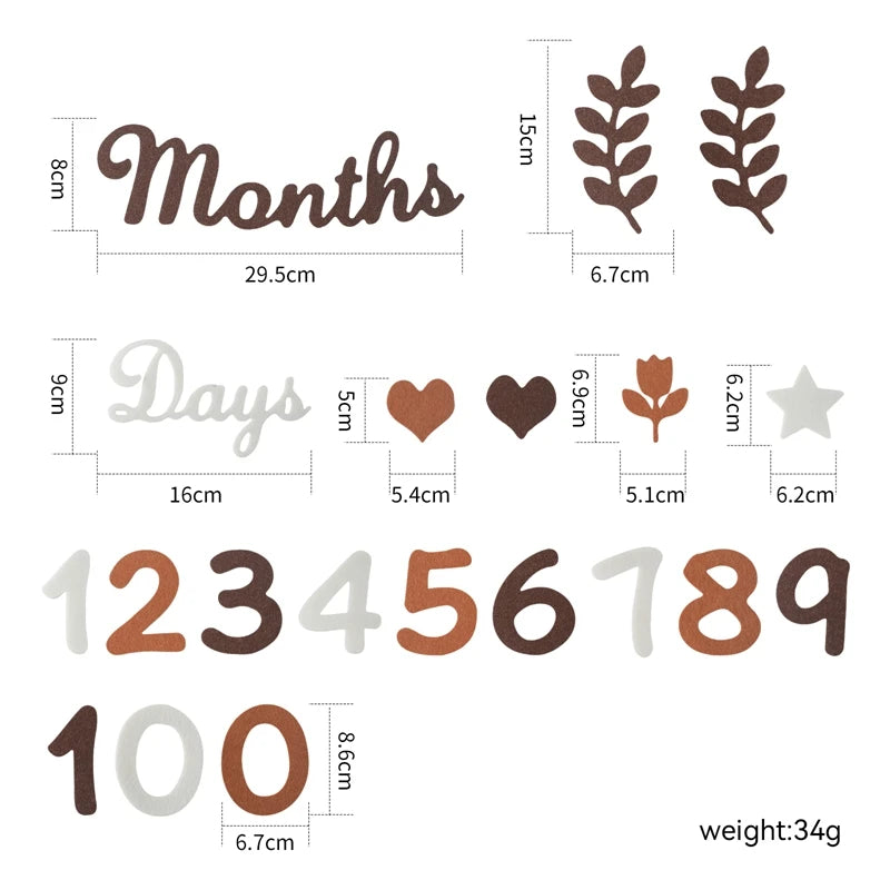 Baby Month Milestone Card - Newborn Photography Prop