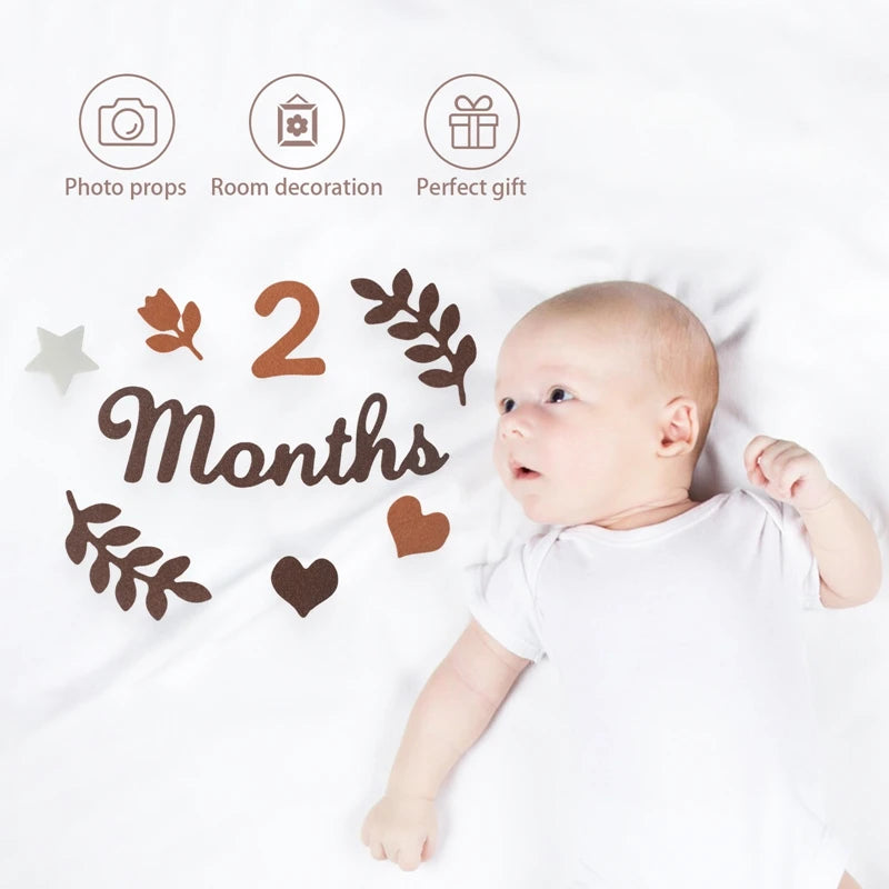 Baby Month Milestone Card - Newborn Photography Prop