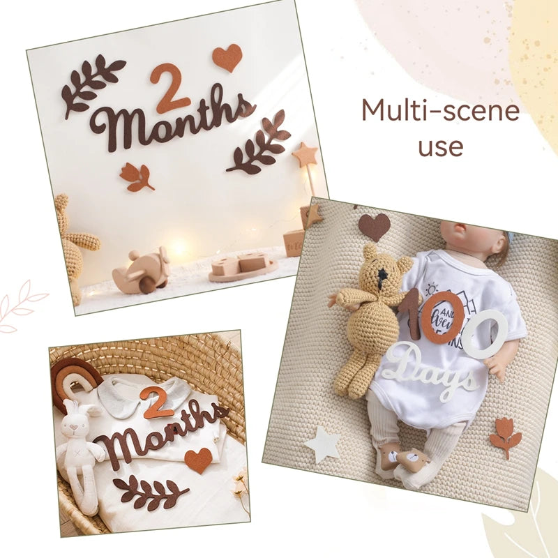 Baby Month Milestone Card - Newborn Photography Prop