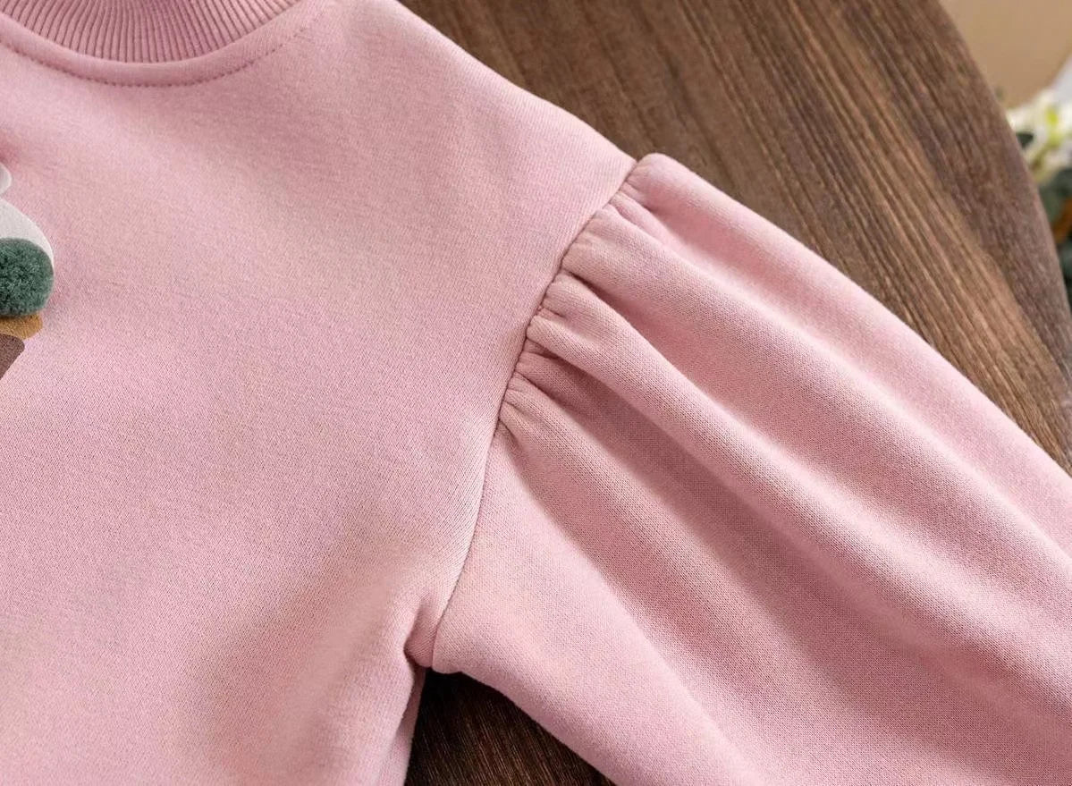 Velvet Hoodies for toddler girls